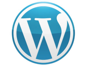 Read more about the article WordPressでページやサイトにパスワードをかけるプラグイン